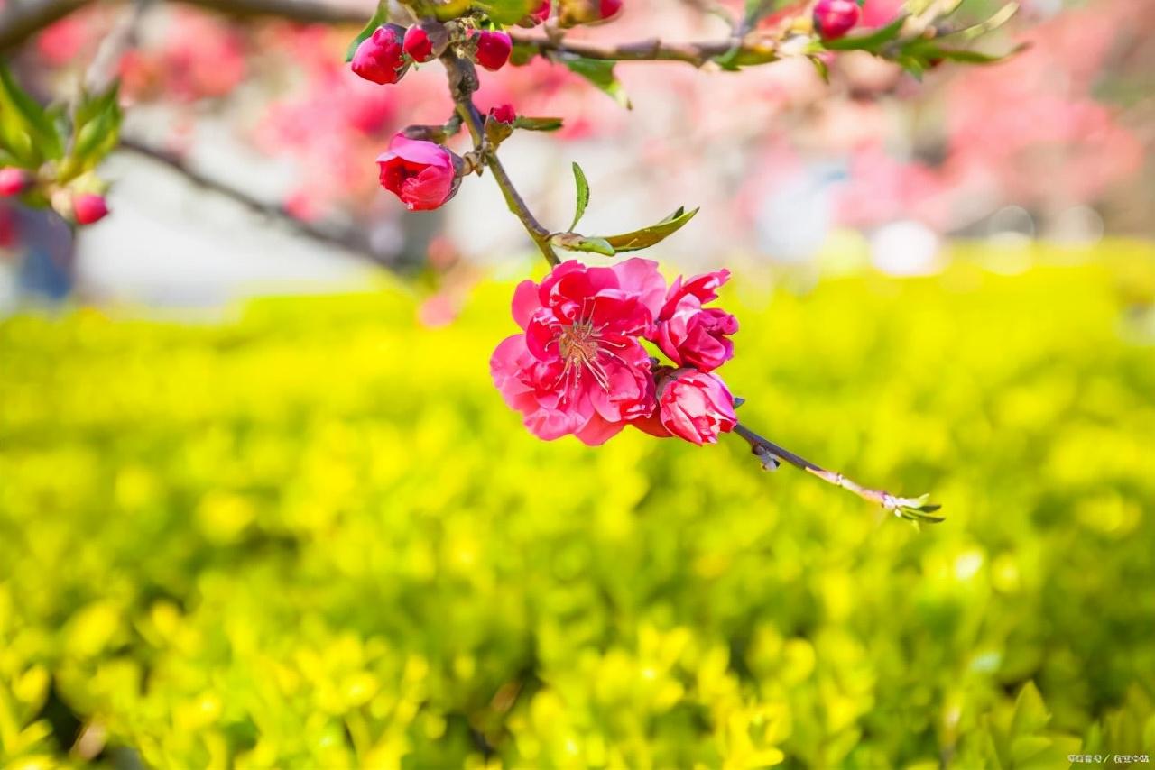 甜蜜的温情句子（打动人心的浪漫短句）