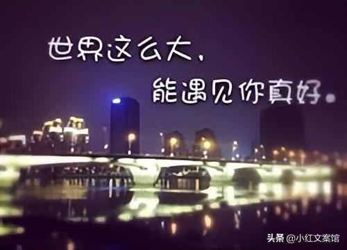 关于爱情的走心短句（唯美感人的情话句子）