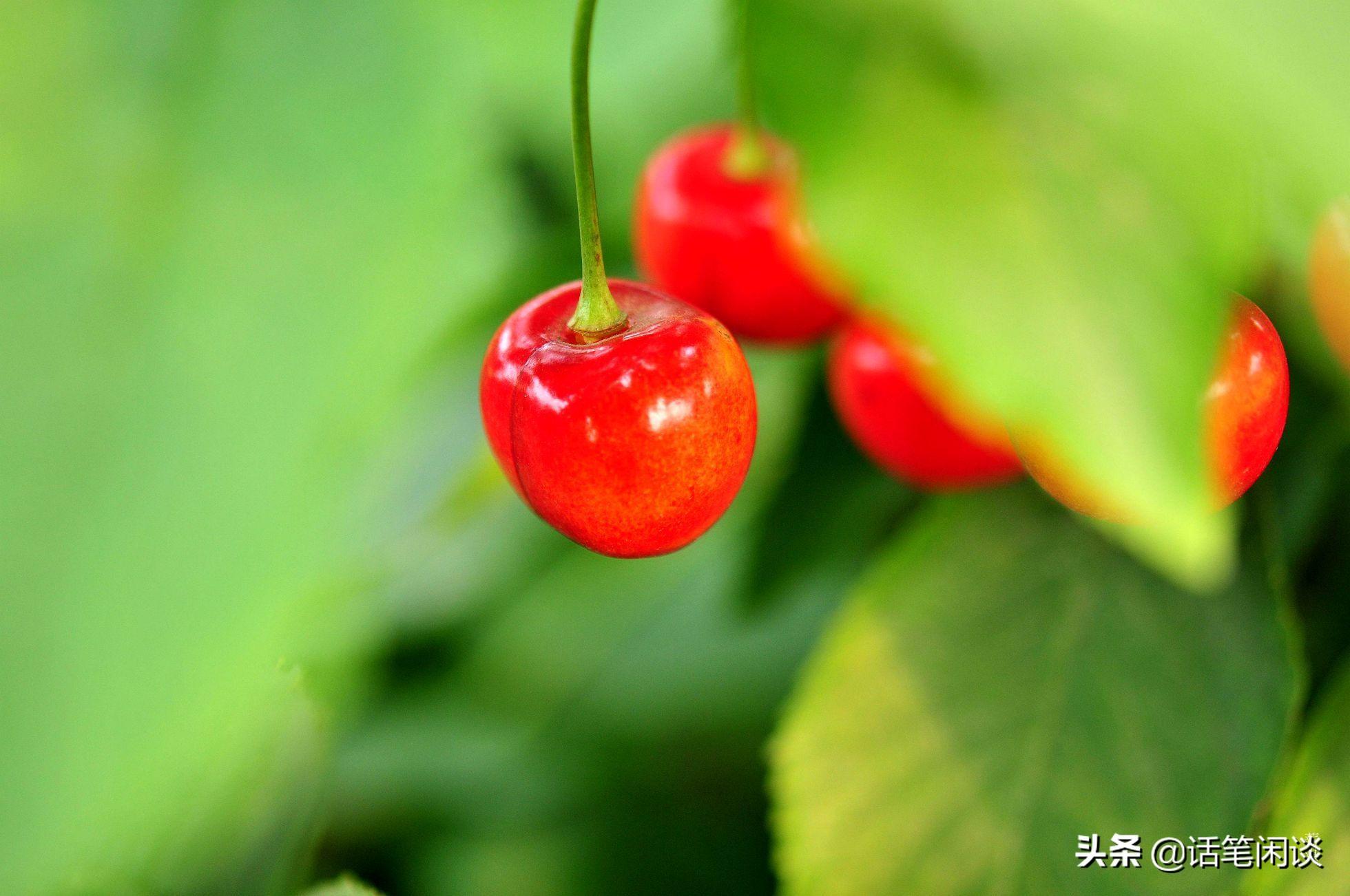 形容夏天果实累累的句子（夏日水果诗词分享）