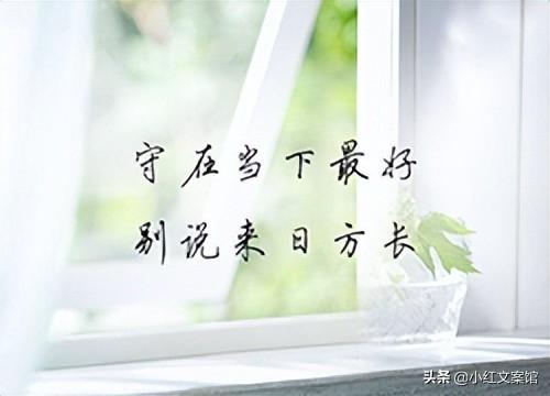 触动心灵的走心文案（精辟走心的阳光短句）