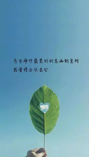 干净又温柔的句子（温柔且浪漫的文艺句子）