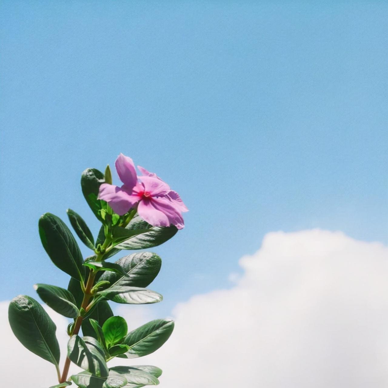 不必惊讶，连解释都是多余（心情压抑的句子）