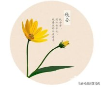 描写光阴的15句千古诗词（一寸光阴一寸金，寸金难买寸光阴）