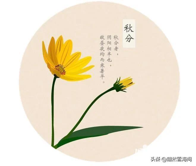 描写光阴的15句千古诗词（一寸光阴一寸金，寸金难买寸光阴）