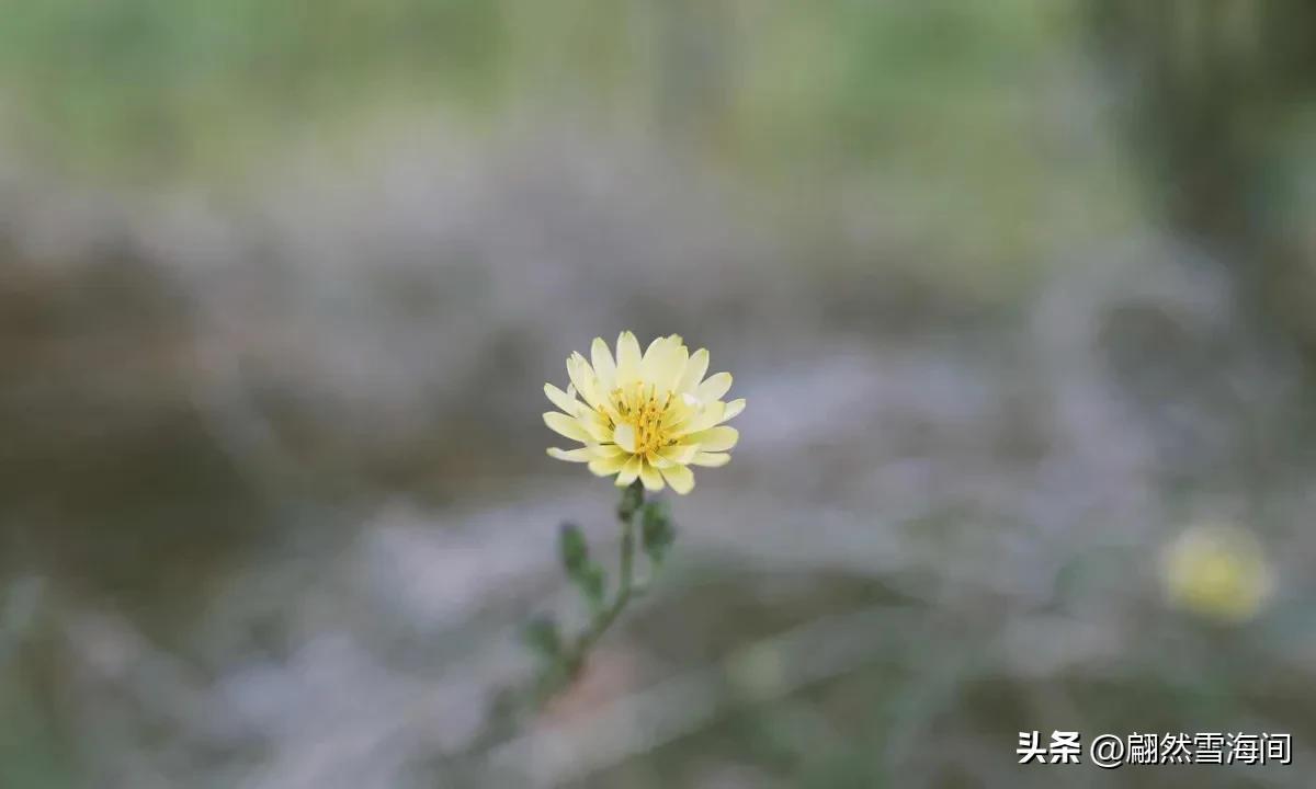 形容壮志未酬的诗词（6首经典的壮志未酬古诗鉴赏）