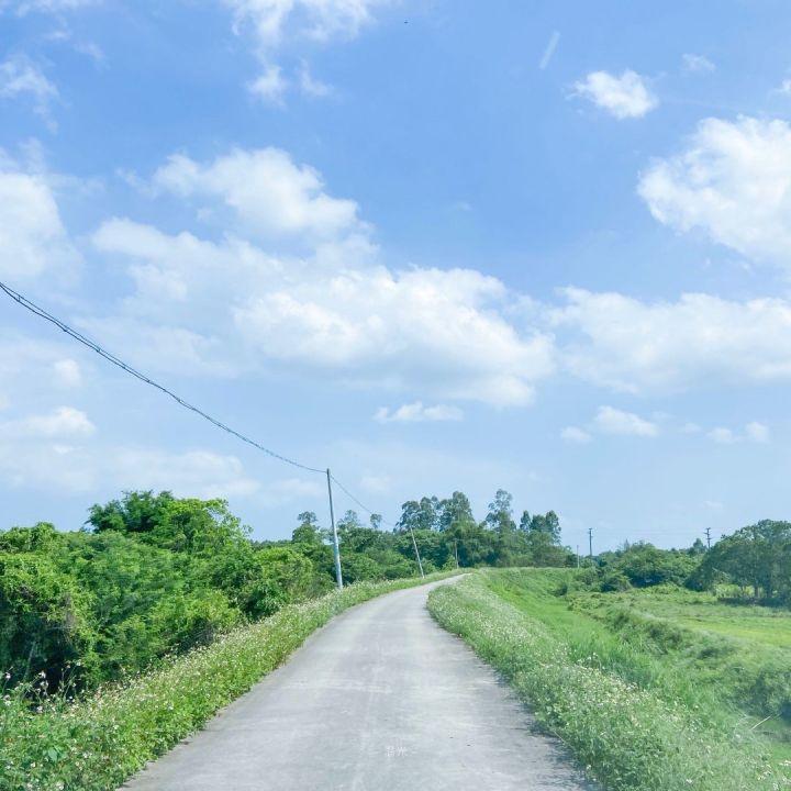 清爽的夏天文案（适合夏天的清新短句）