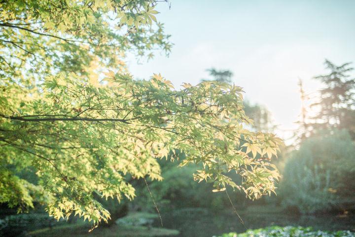 清爽的夏天文案（适合夏天的清新短句）