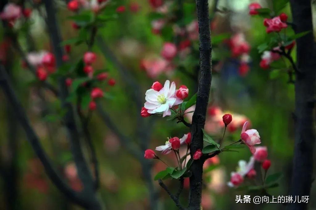 高级治愈文案（治愈且励志的高级文案）