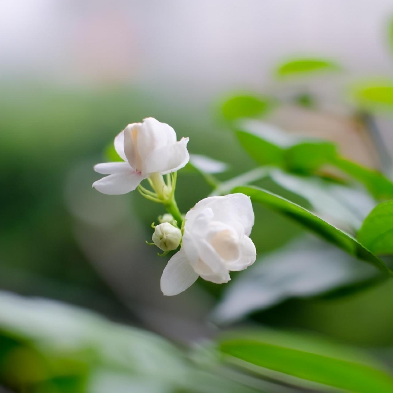 自我沉淀的哲理句子（适合沉淀心灵的句子）