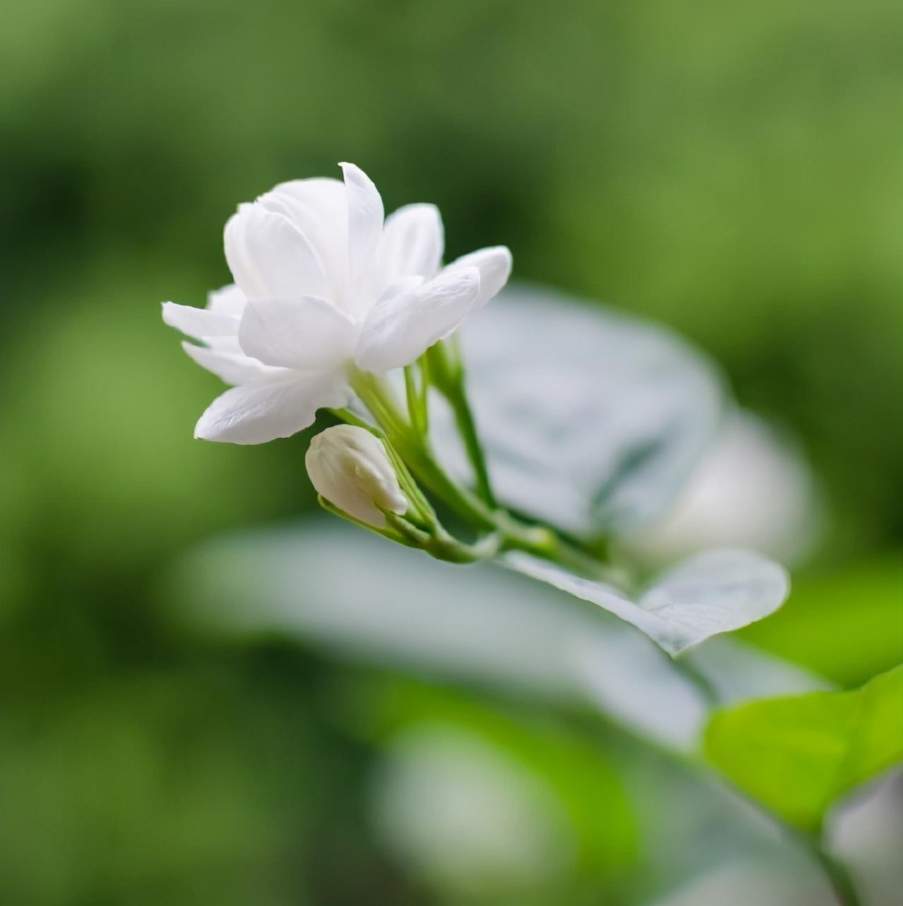 自我沉淀的哲理句子（适合沉淀心灵的句子）