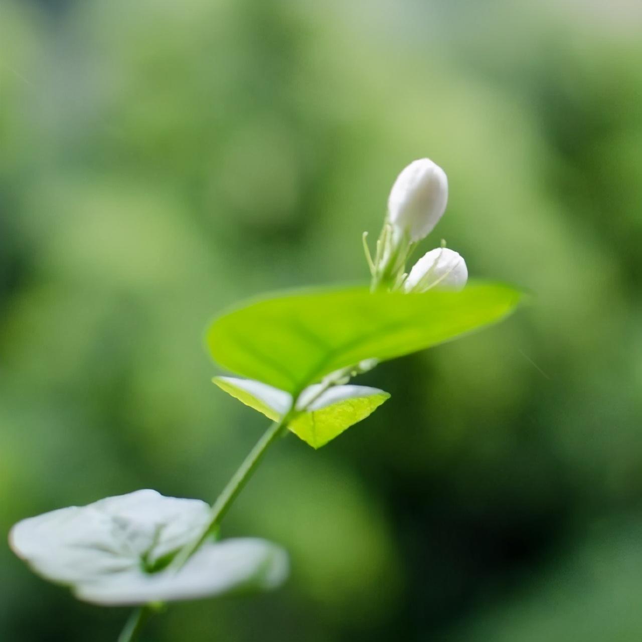 自我沉淀的哲理句子（适合沉淀心灵的句子）