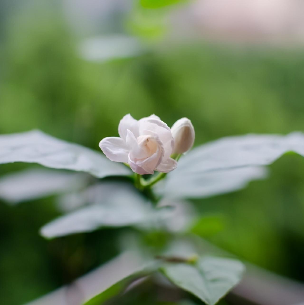 自我沉淀的哲理句子（适合沉淀心灵的句子）