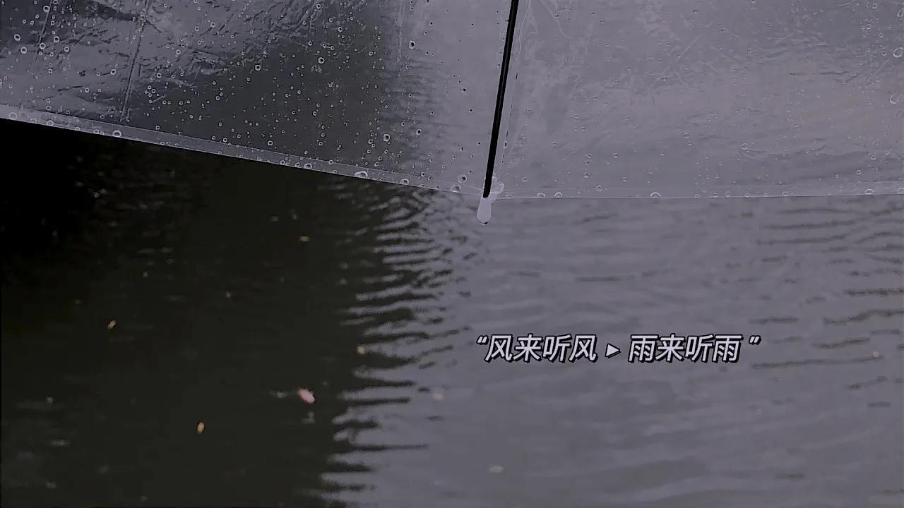 适合下雨天的温柔短句（描写雨天的唯美句子）