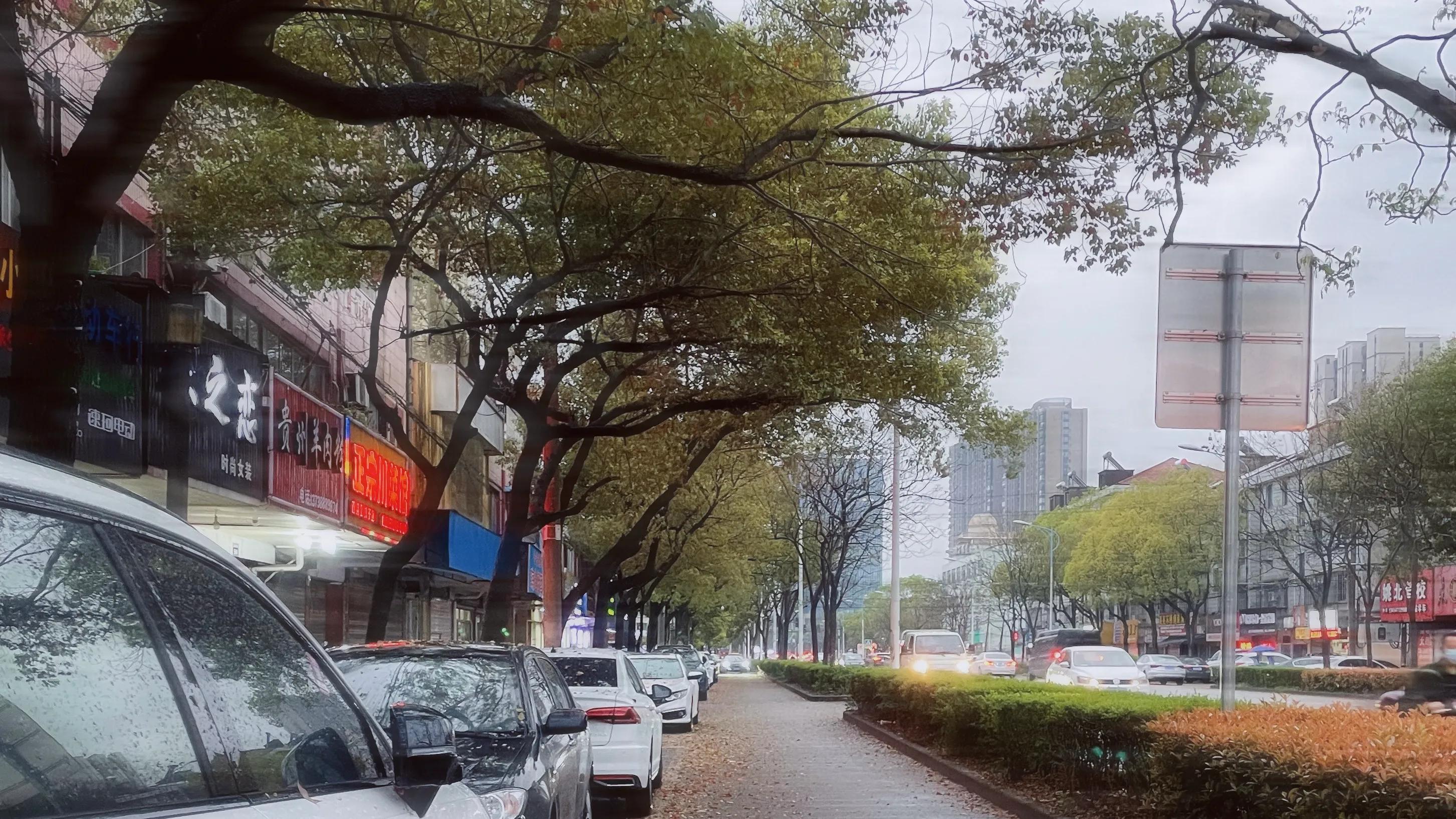 适合下雨天的温柔短句（描写雨天的唯美句子）