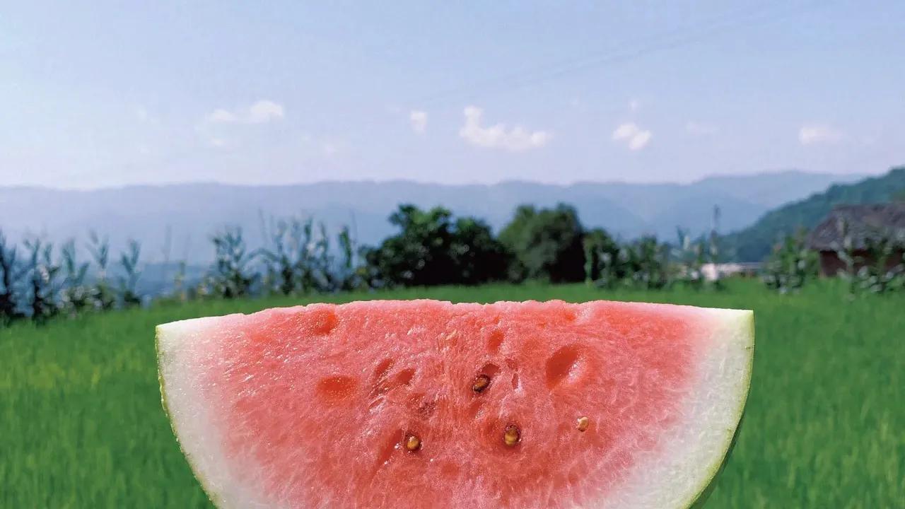 适合夏天的浪漫文案（夏日专属文案）