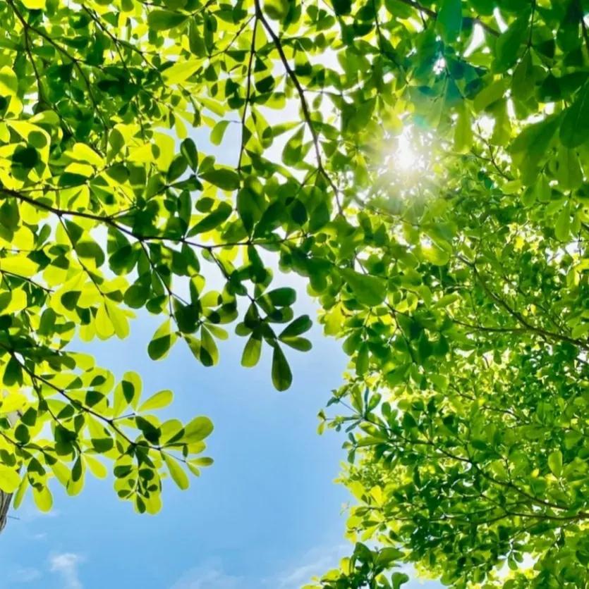 适合夏天的浪漫文案（夏日专属文案）