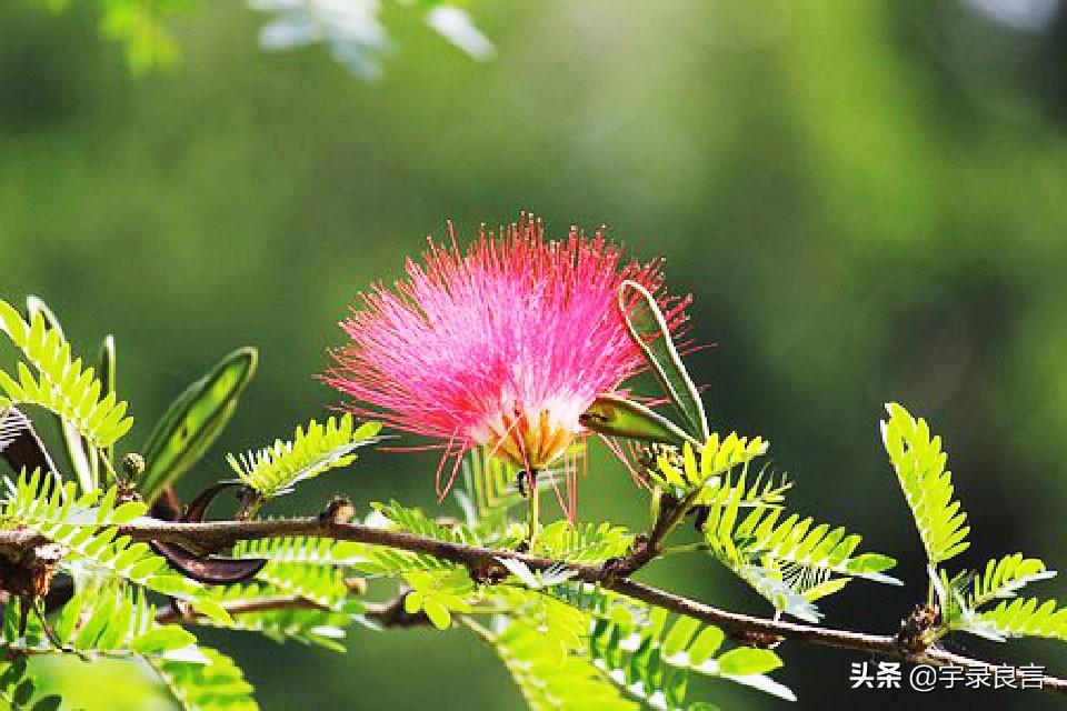 让人释怀的经典语录（释怀人生的句子）