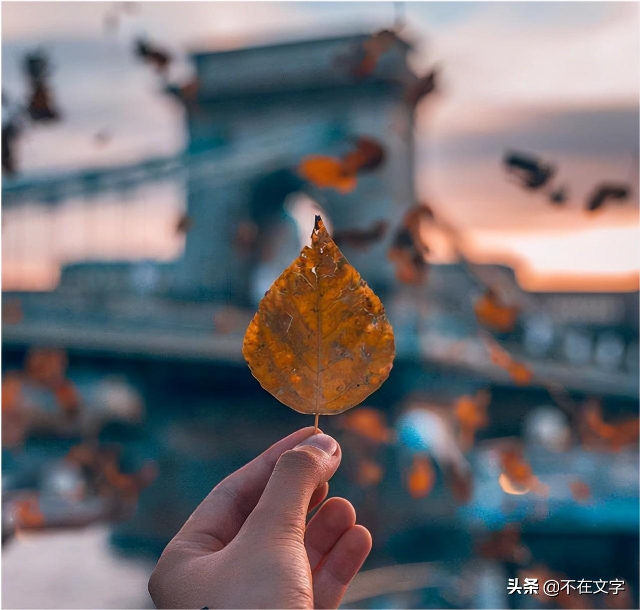 感悟生活的哲理句子（有深意的人生感悟句子）