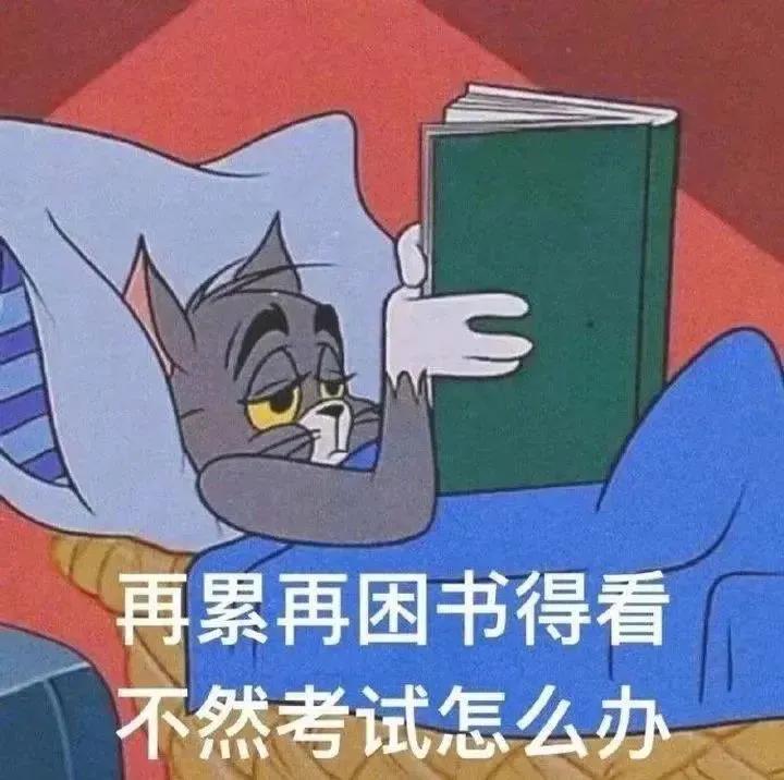 充满正能量的自律文案（努力且自律的短句）