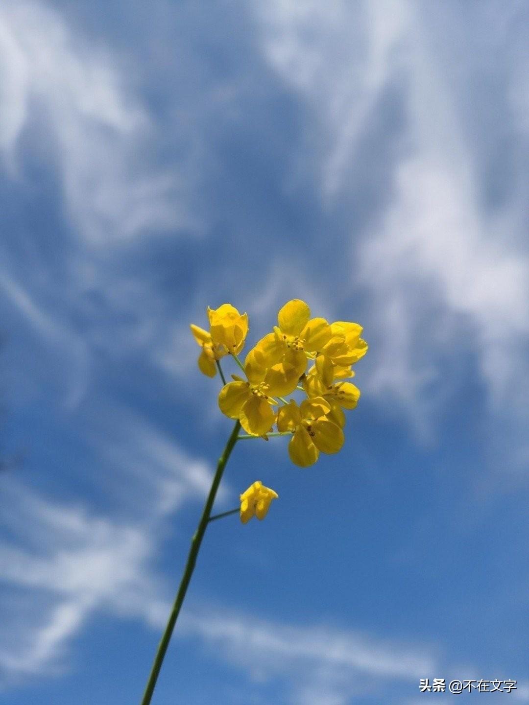 令人清醒的励志文案（激励人心的清醒句子）