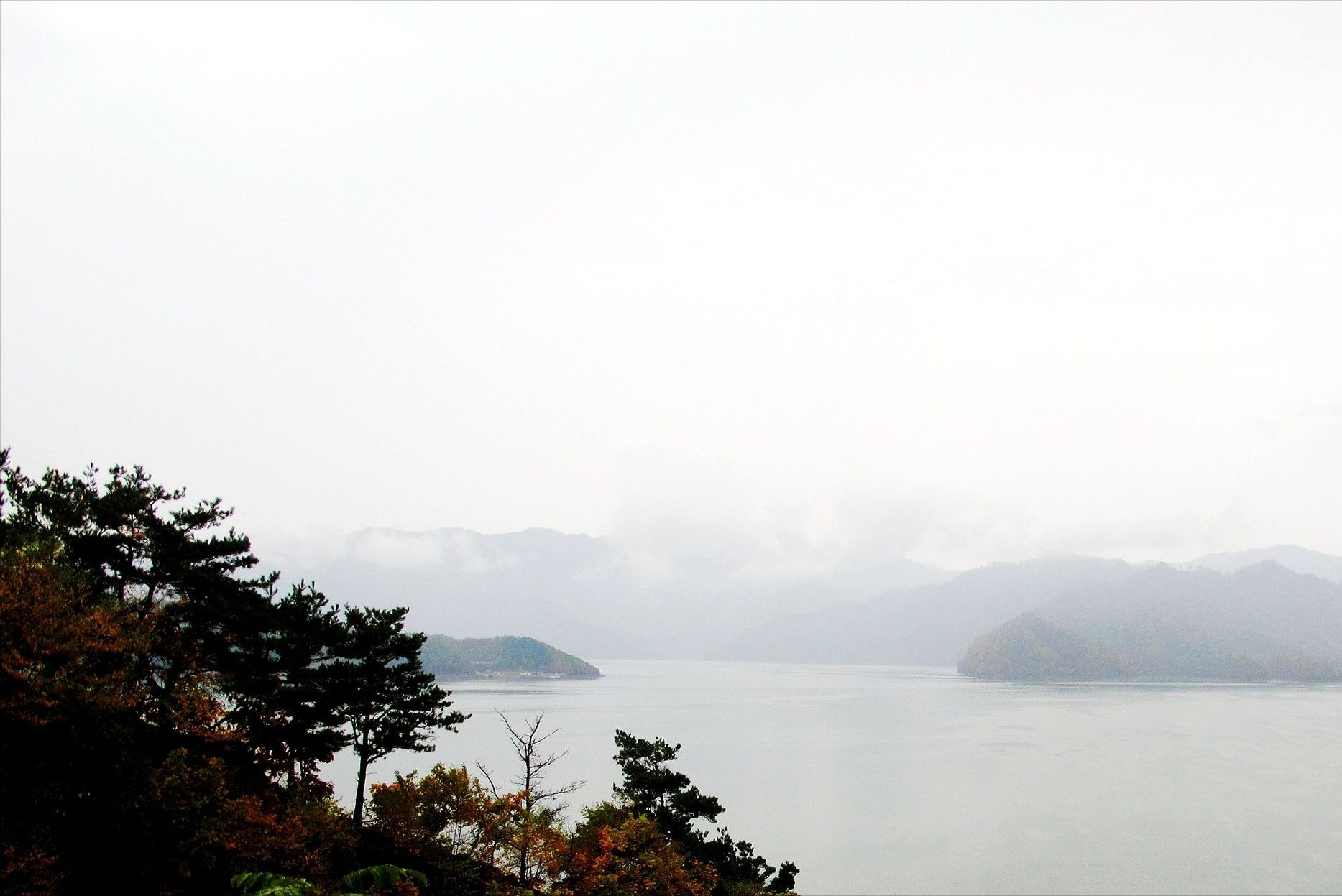 绝美秋雨10首诗词鉴赏（清秋有诗，雨落成行）