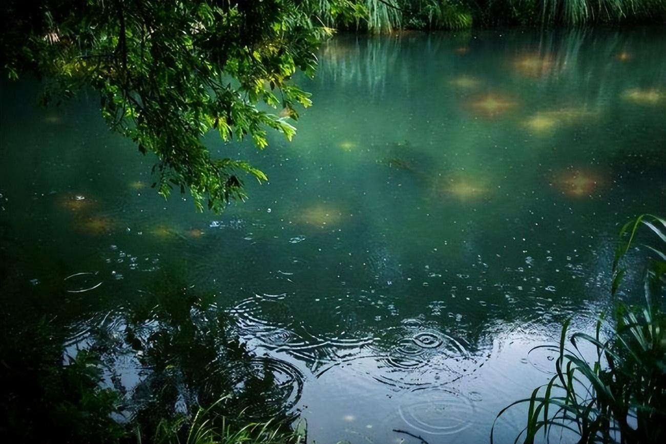 绝美秋雨10首诗词鉴赏（清秋有诗，雨落成行）