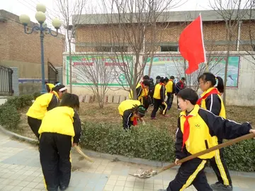 2022小学生社会实践活动总结范文（小学生社会实践策划总结范例）