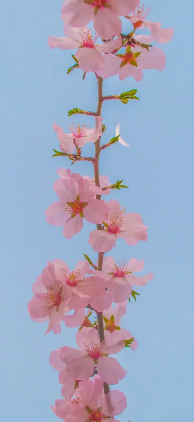 热爱生活的唯美句子（简短精致语录推荐）