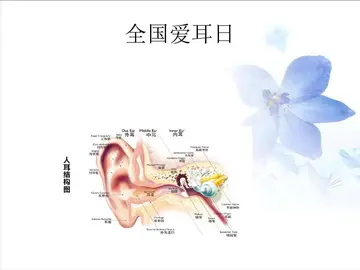 2022小班全国爱耳日主题教案范本（小班爱耳日优秀教学教案模板）