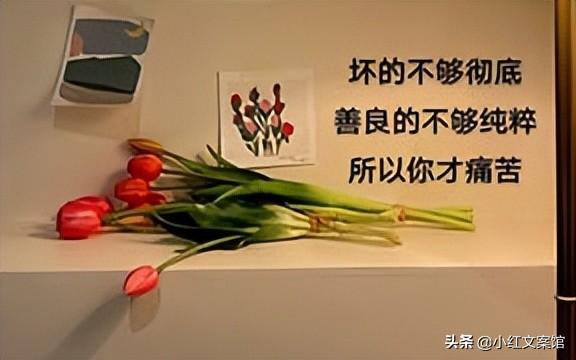 充满人生感悟的伤感句子（感悟人生的经典句子）