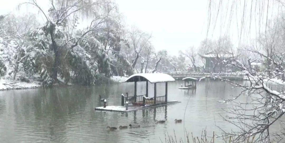 赞美春天美景的古诗（十首冬景的诗词）