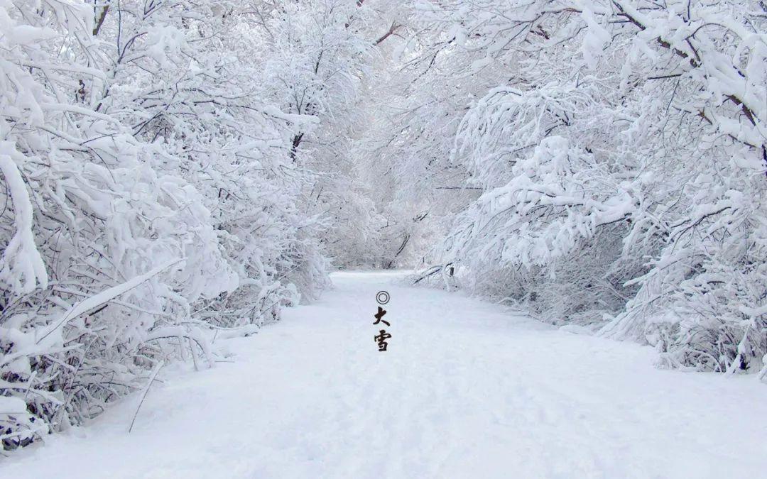 描写雪的唯美古诗词（十首大雪的诗句）