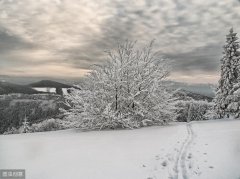 关于带雪的诗词名句赏析（描写雪景的经典古诗）