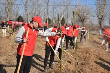 2022青年志愿者活动方案模板（青年志愿者策划方案范本）