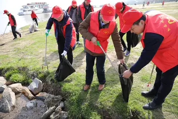 2022社区志愿者实施方案模板（街道志愿者工作方案范本）