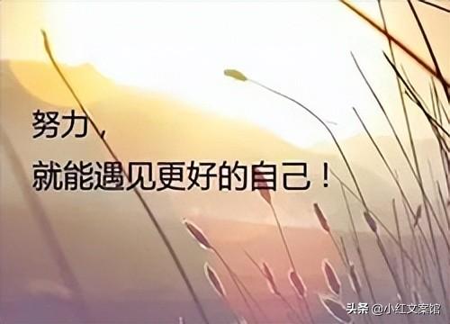 关于自律的正能量短句（豁然开朗的阳光短句）