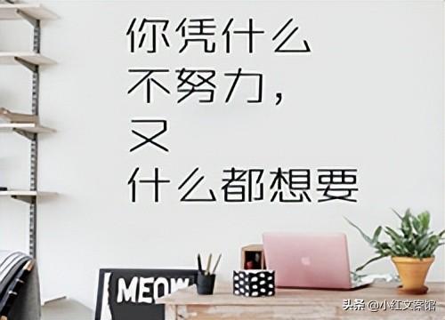 充满正能量的走心文案（精辟走心的励志句子）