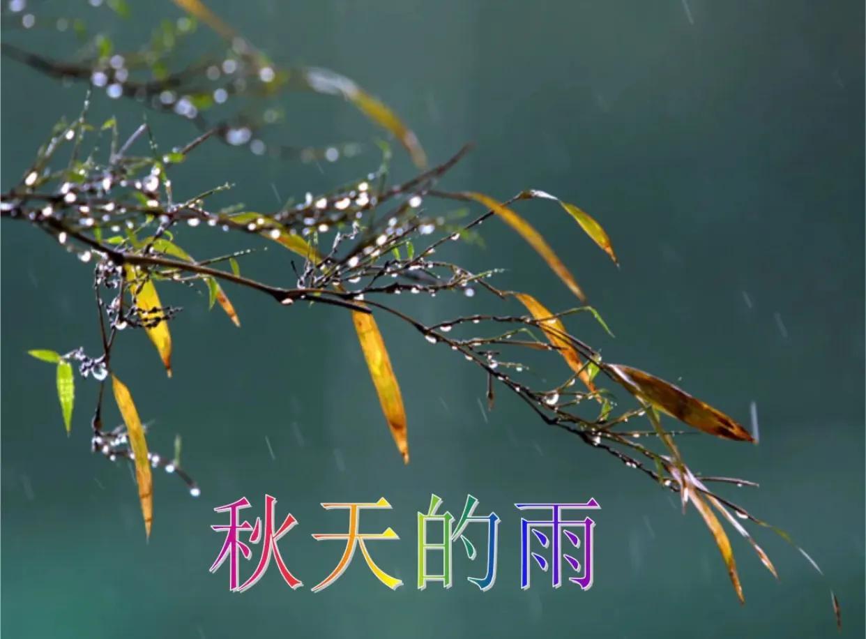 有关秋天句子摘抄大全（秋天的雨唯美短句）