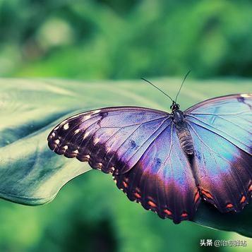 感慨人生的宝藏句子（富含人生哲理的文案句子）