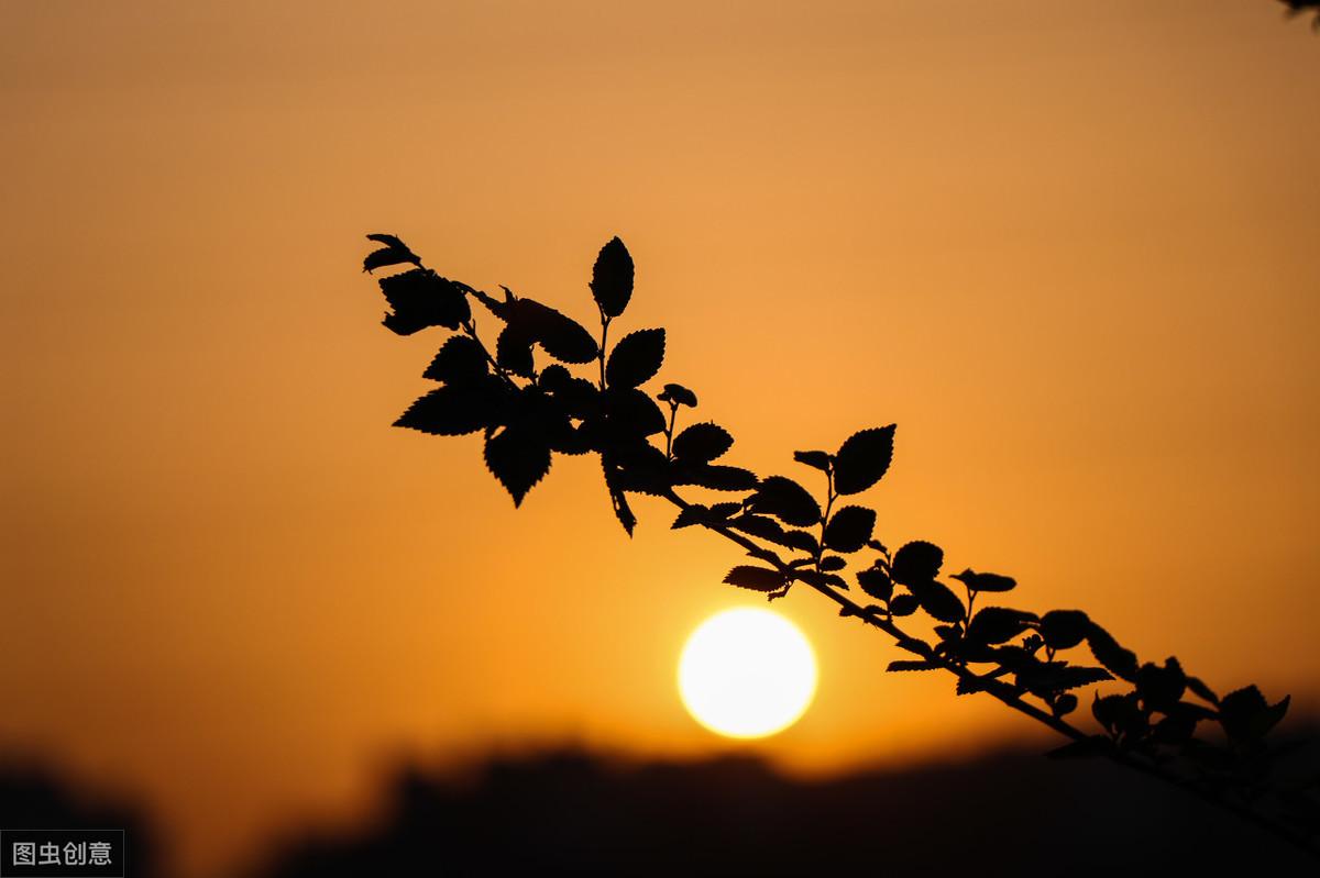 夕阳余晖的唯美诗句（关于落日余晖的诗词古句）