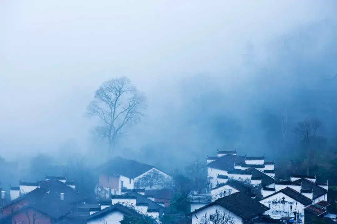 表达夜晚一个人孤独的古诗句（孤独寂寞诗词）