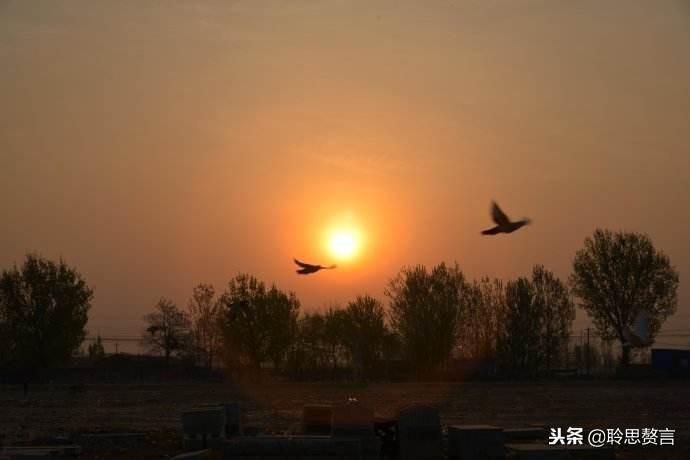 静夜里的孤独吟咏精选诗词（内心伤感失落的诗句）