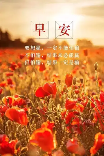 适合早晨发的早安语录（关于早安的祝福语）