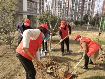 《爱绿护绿齐行动》作文精选（关于环保能手的作文范例）