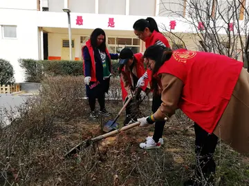 保护绿水青山决胜全面小康作文精选（关于环保爱国行的作文范例）