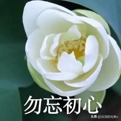 干净治愈的佛系文案（净化心灵的佛系句子）