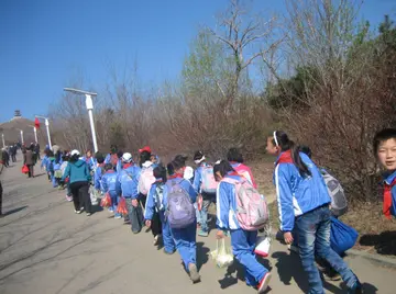 2022小学生春游活动方案模板（小学生春游策划方案范本）