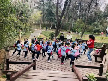 2022幼儿园春游实践实施方案模板（幼儿园春游野餐工作方案范本）