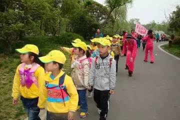 2022幼儿园春游实践实施方案模板（幼儿园春游野餐工作方案范本）