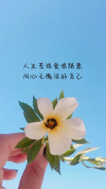 关于情感的唯美句子（经典情感语录）